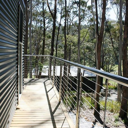 Craggy Peaks Wilderness Cabins Rossarden Exterior foto