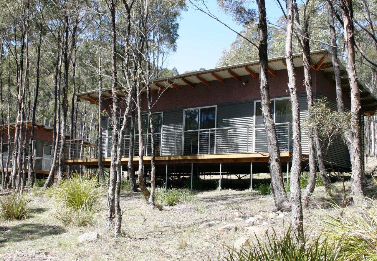 Craggy Peaks Wilderness Cabins Rossarden Exterior foto