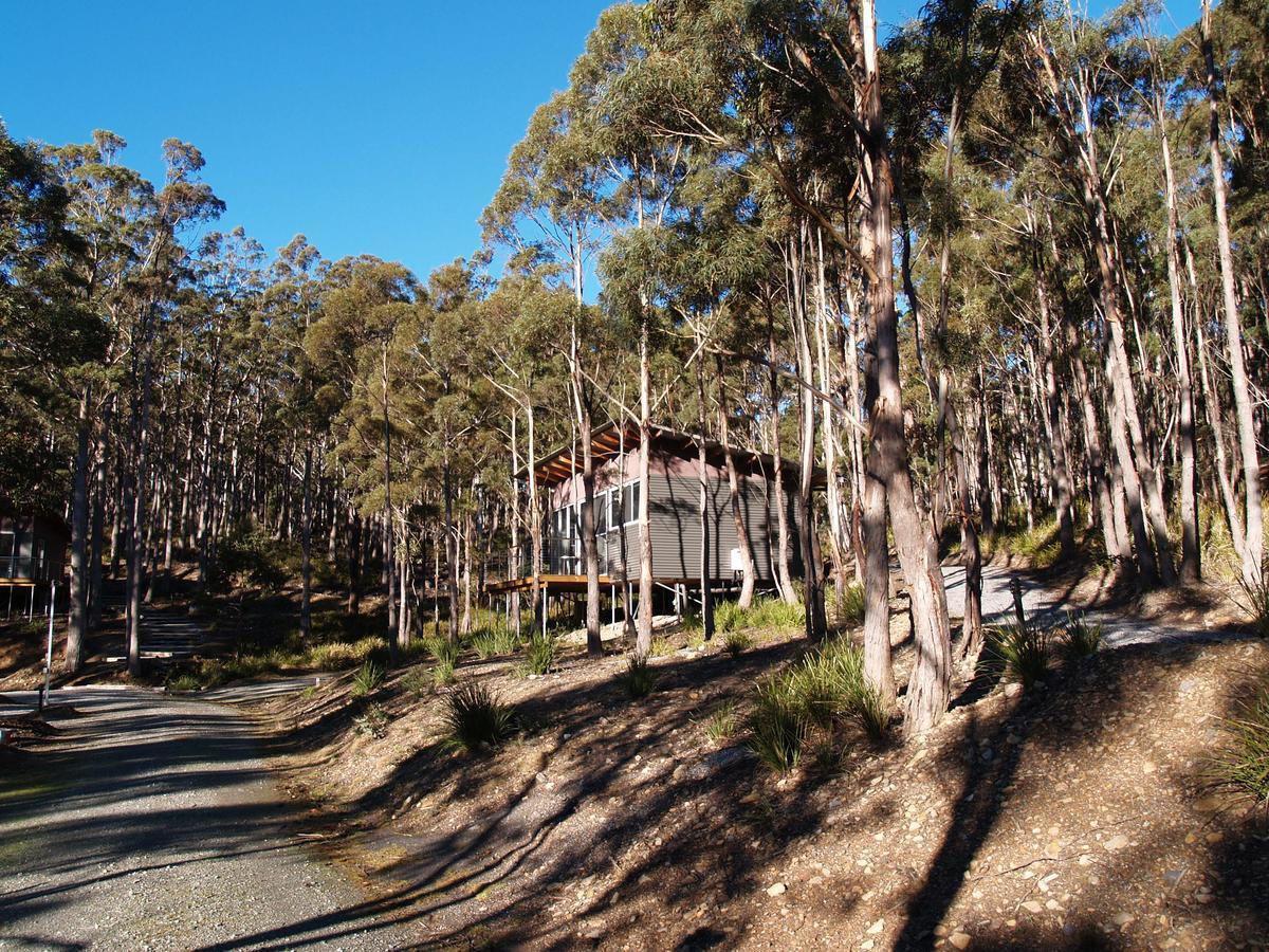 Craggy Peaks Wilderness Cabins Rossarden Exterior foto