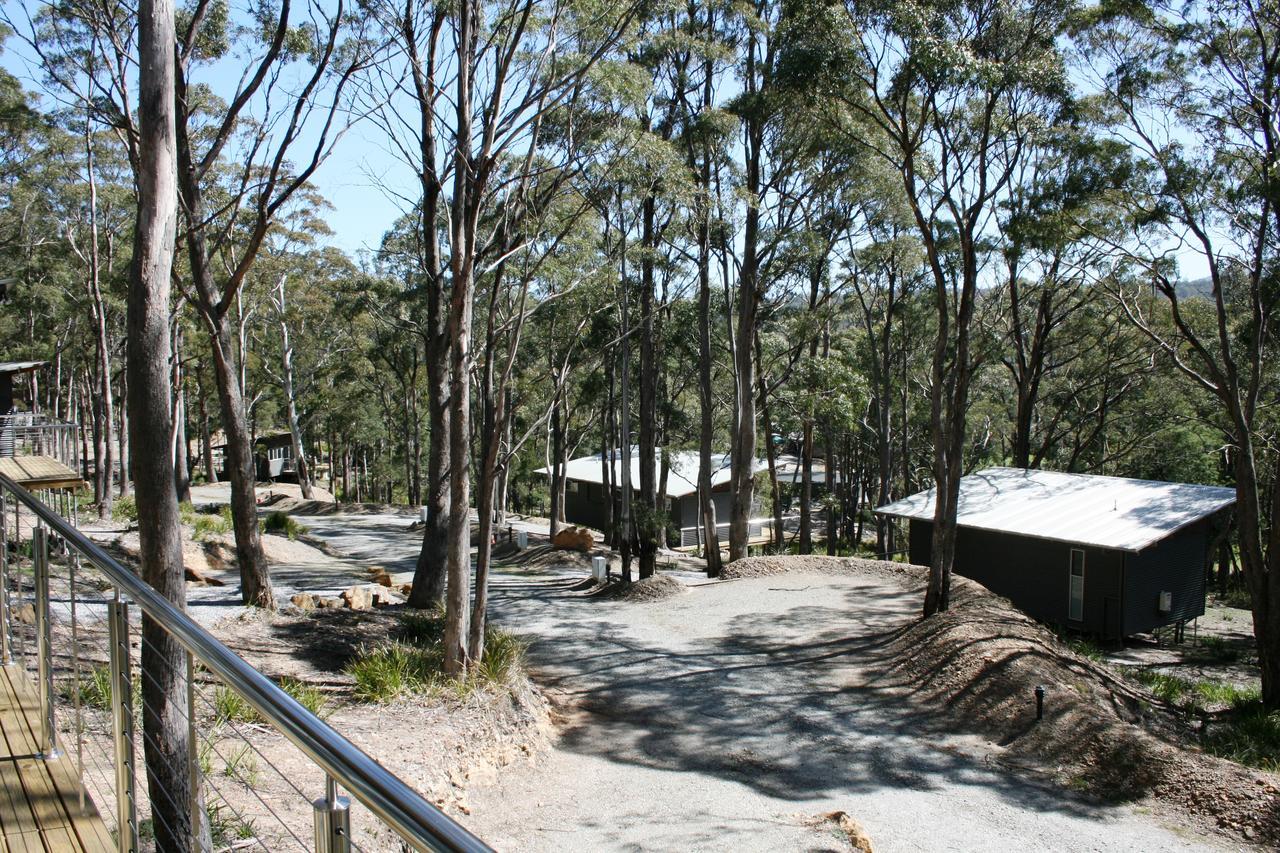 Craggy Peaks Wilderness Cabins Rossarden Exterior foto