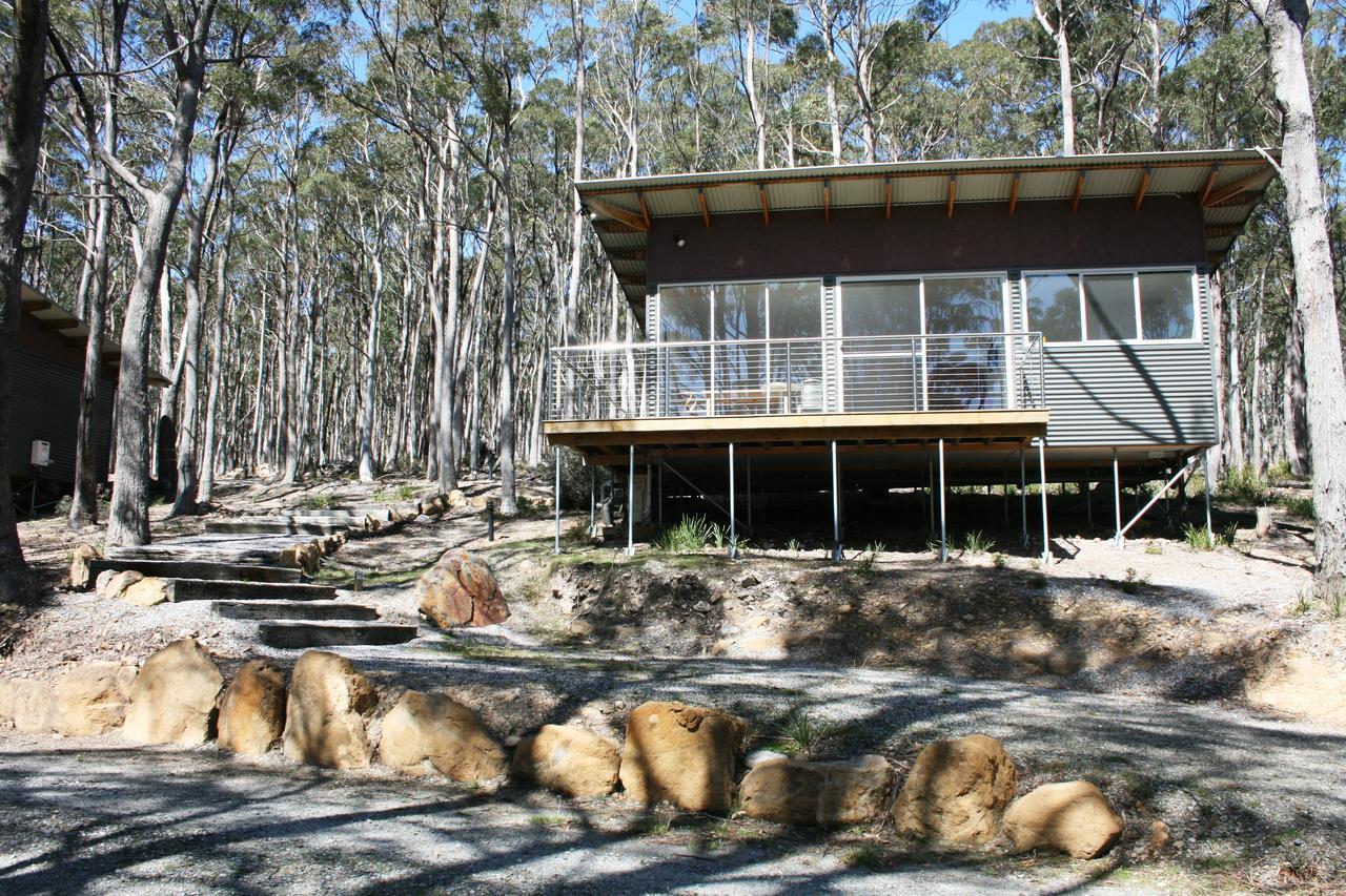 Craggy Peaks Wilderness Cabins Rossarden Exterior foto