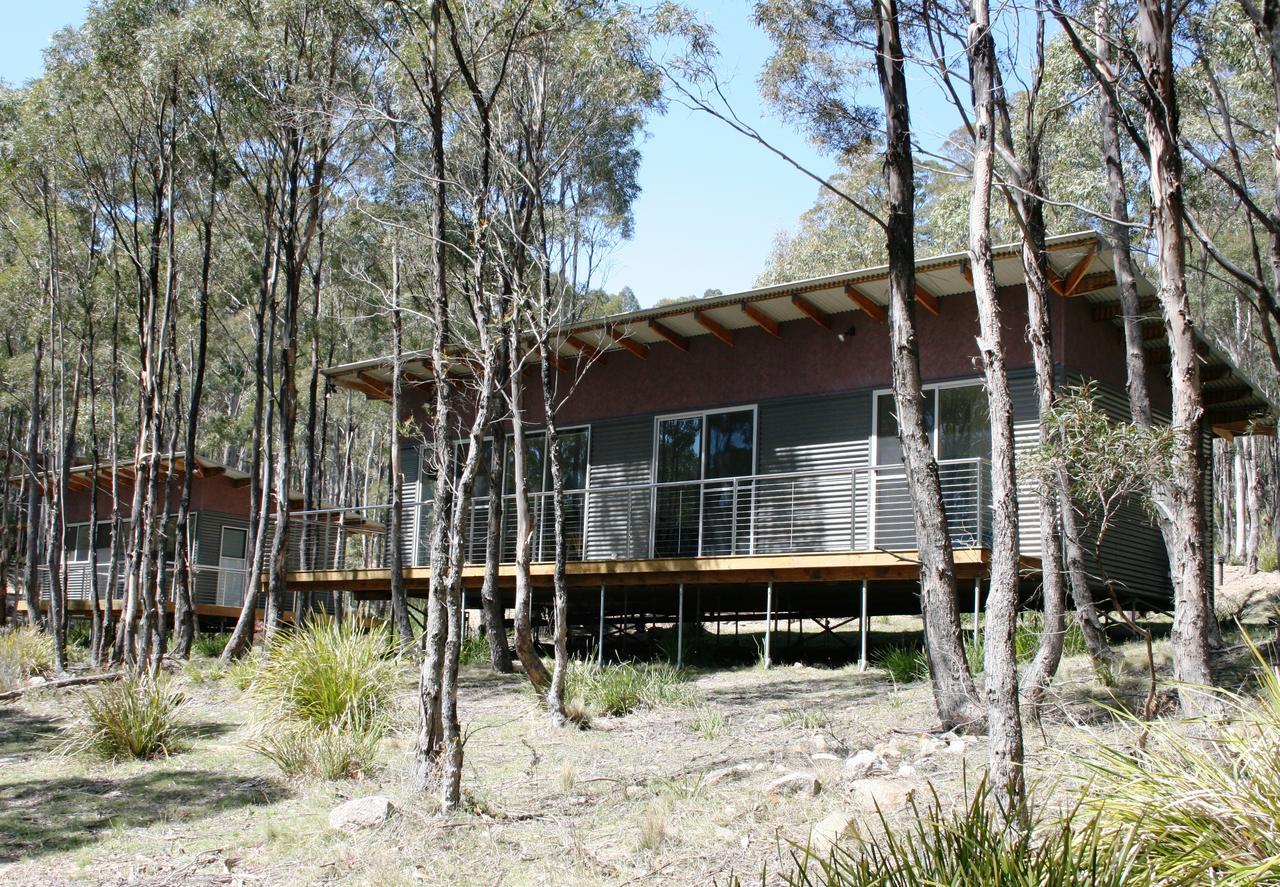 Craggy Peaks Wilderness Cabins Rossarden Exterior foto